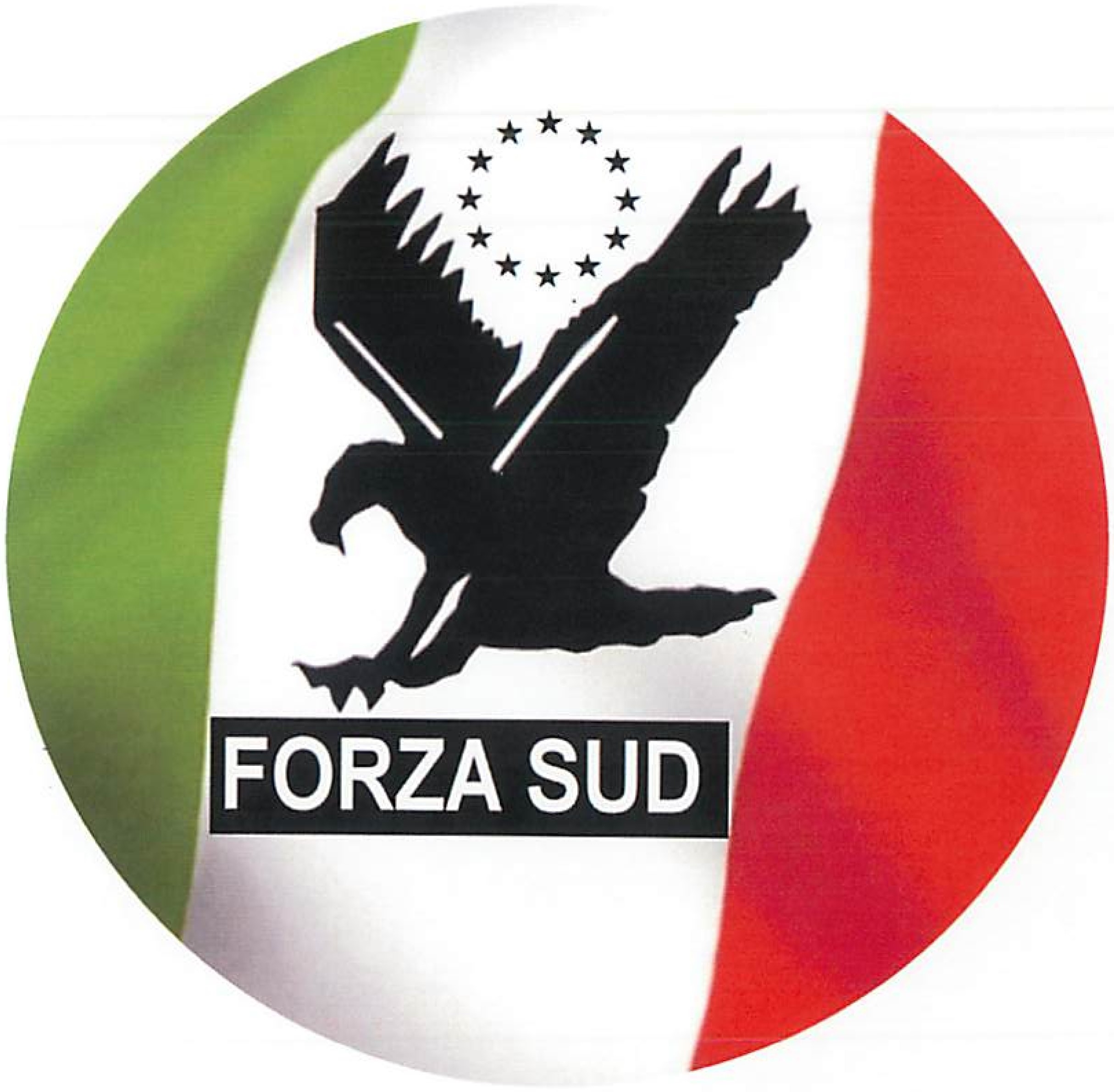 ForzaSud 001